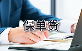 海西保单贷